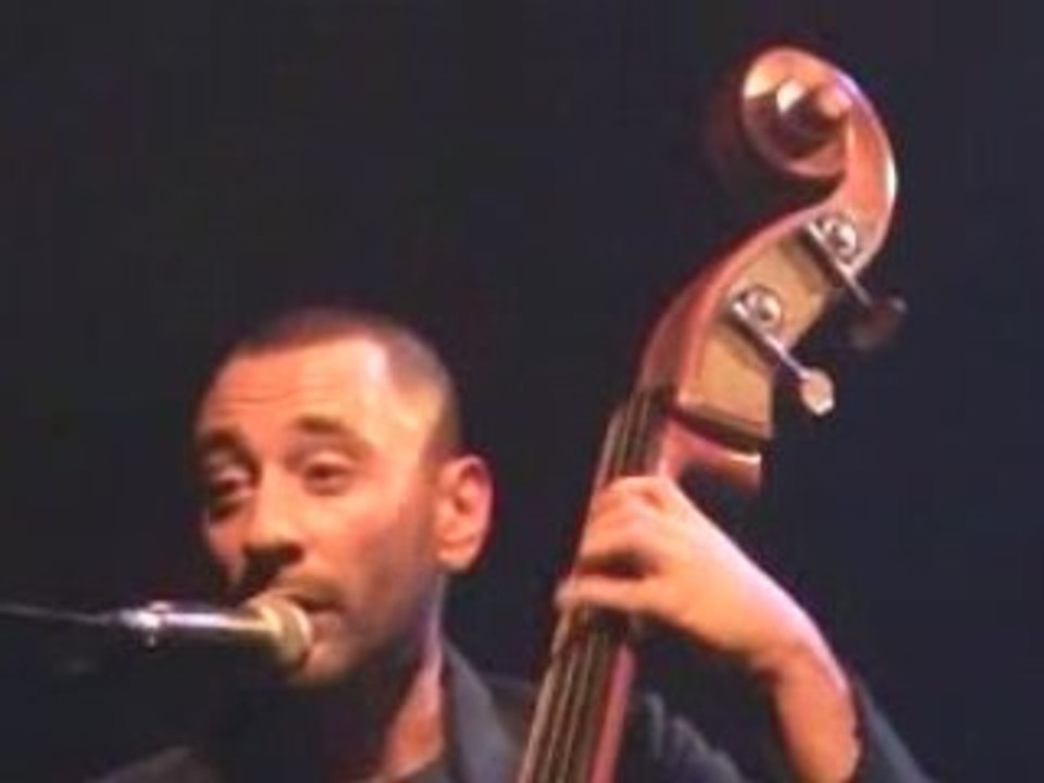 LES GROSSES PAPILLES  les chiens