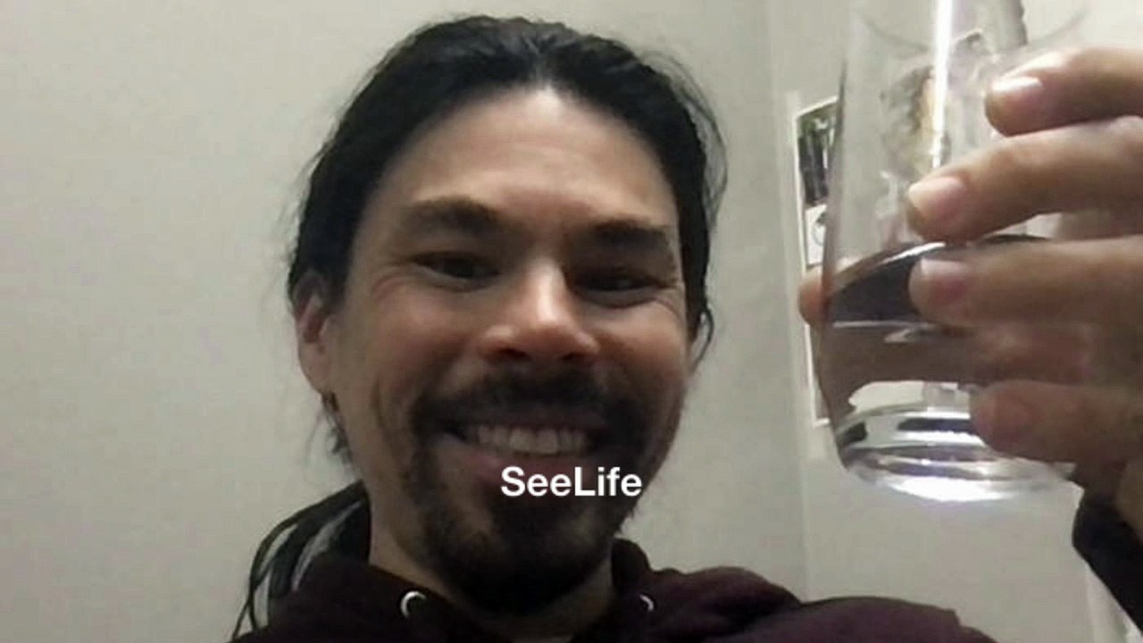 SeeLife