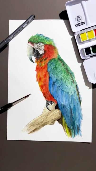Peindre un perroquet à l'aquarelle #aquarelle #art #dessin