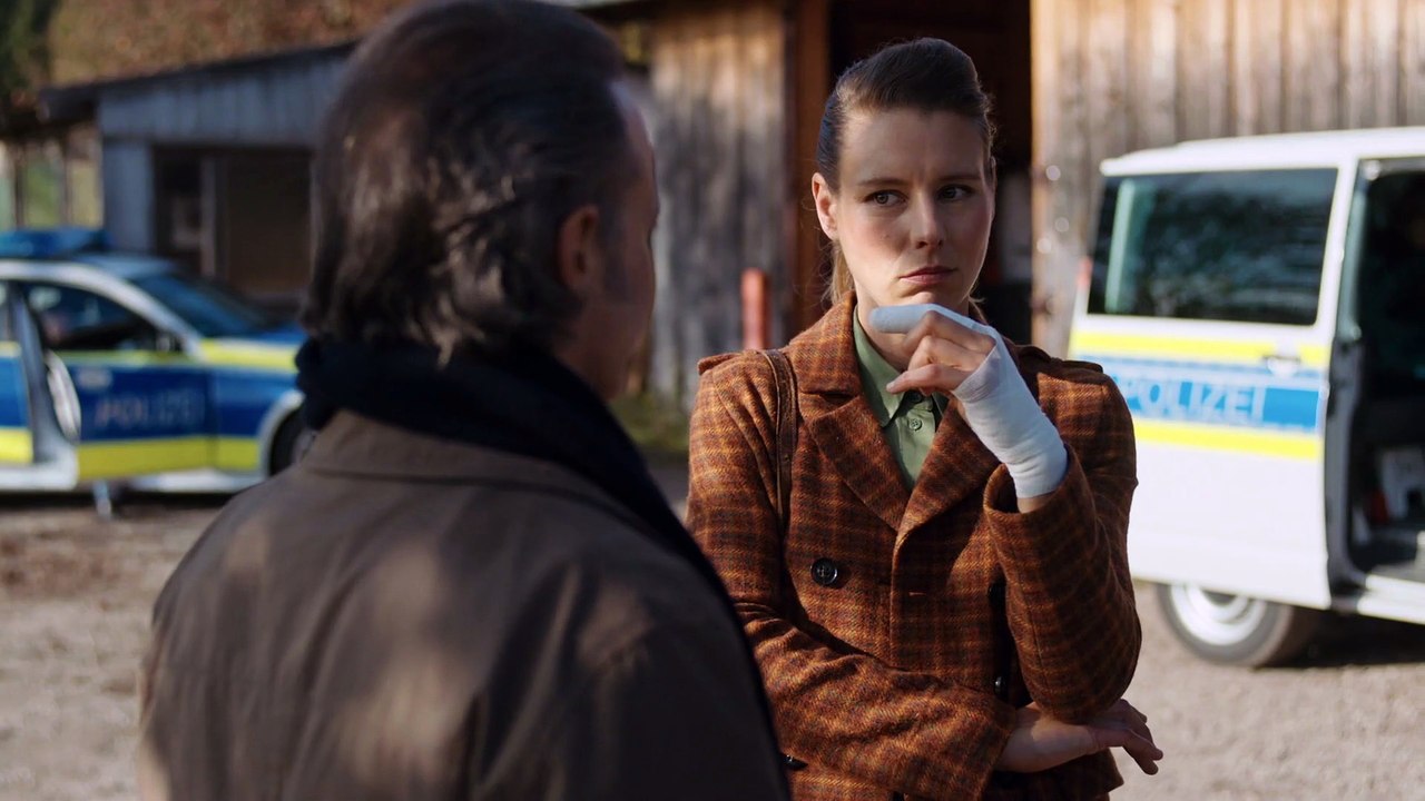 Niemand stirbt gern allein - Ein Krimi aus Passau