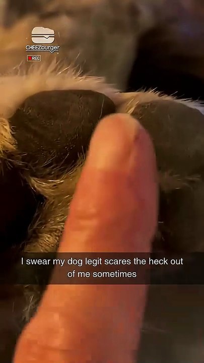 That's not a howl... that's a warning