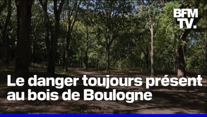 Le danger toujours présent au bois de Boulogne, un an après le meurtre de Philippine