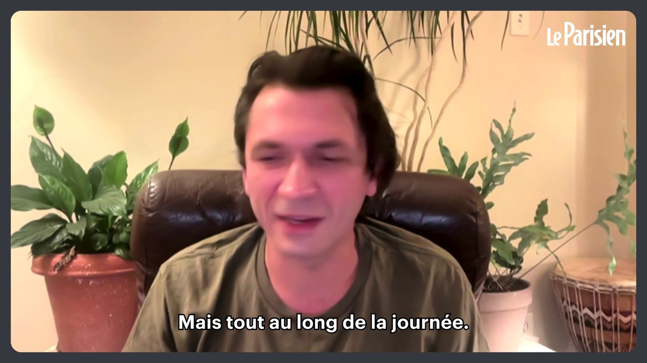 Des chimpanzés accros à l’alcool ? Notre penchant pour l’apéro viendrait de là…