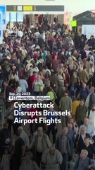 Cyberattack Disrupts Brussels Airport Flights