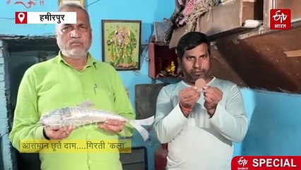 बिन 'पानी' दम तोड़ती हमीरपुर की चांदी की मछली; 400 साल पुरानी बुंदेलखंडी कला को धार दे रहा एक परिवार
