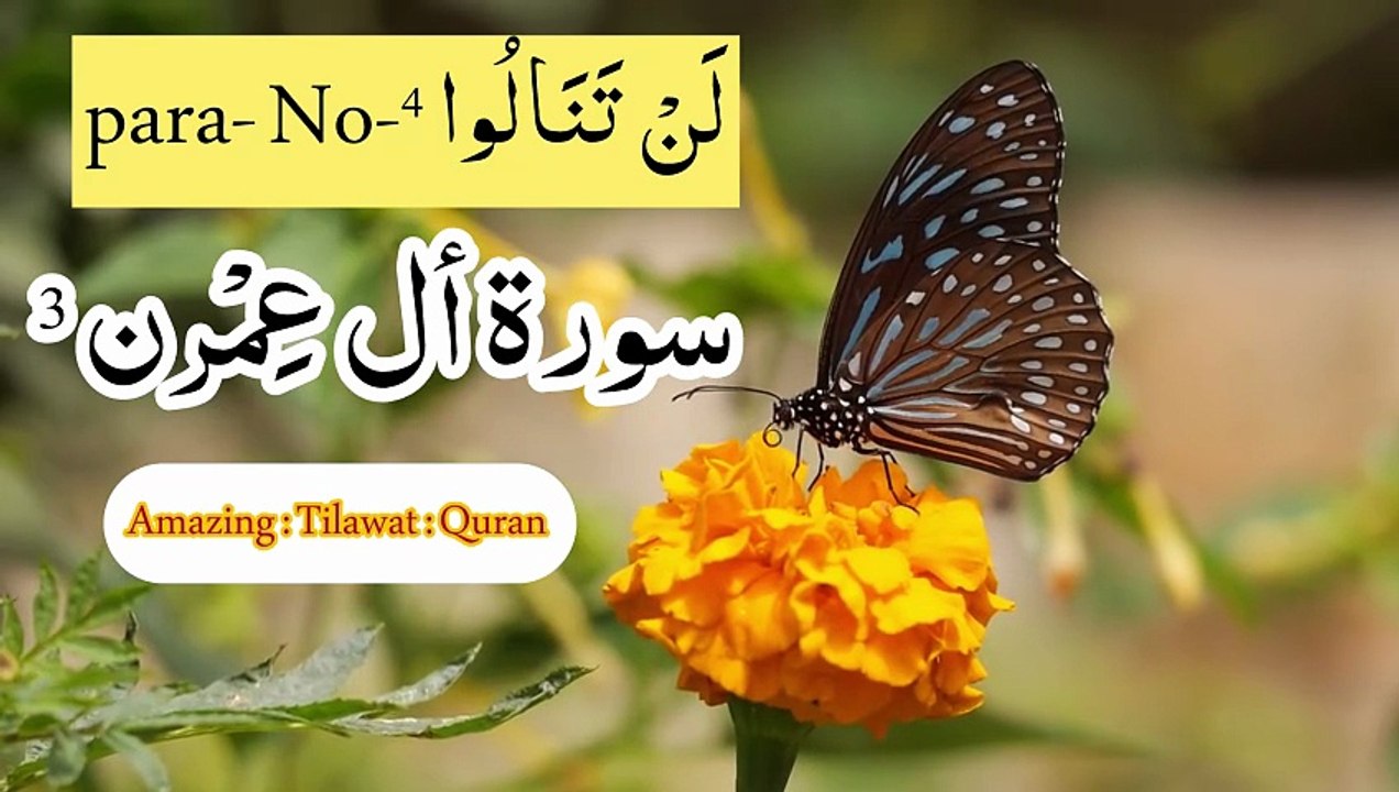 🌹🌹Surah Aal e Imran Beautiful Recitation | Para 4 Quran Tilawat🌹🌹