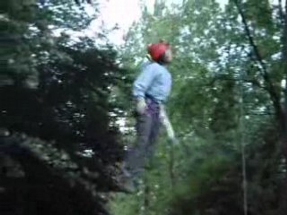 les taré en action 1