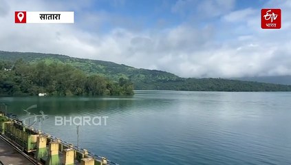 महाराष्ट्राची वरदायिनी कोयना धरण शंभर टक्के भरलं, सिंचनासह पिण्याच्या पाण्याची चिंता मिटली