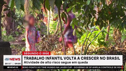 Trabalho infantil volta a crescer no Brasil