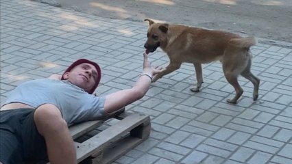 Playful pup shows gentle side while pretending to bite in a lighthearted interaction