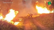 Incendio afecta parte del Bosque Nacional de Ipanema en Sao Paulo