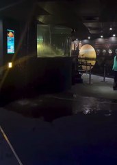 Vídeo: teto desaba após vazamento de aquário em cidade turística