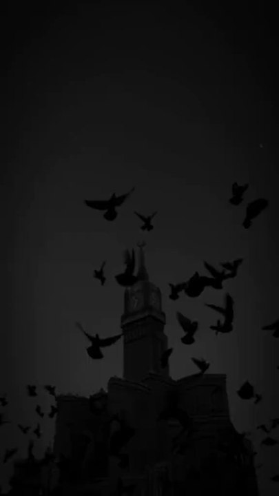 Islamic videos
