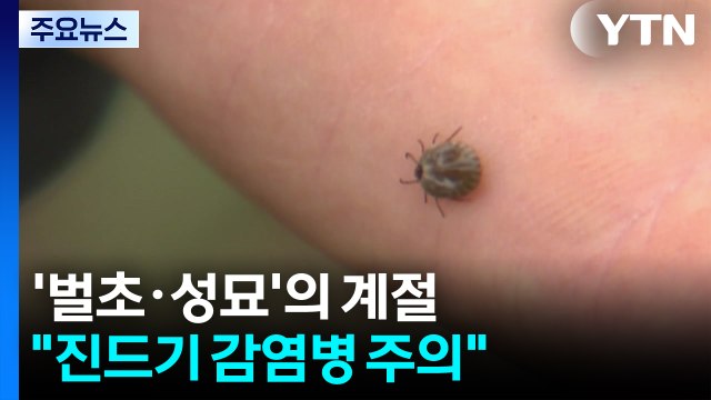 '벌초.성묘'의 계절... 진드기 매개 감염병 주의 / YTN