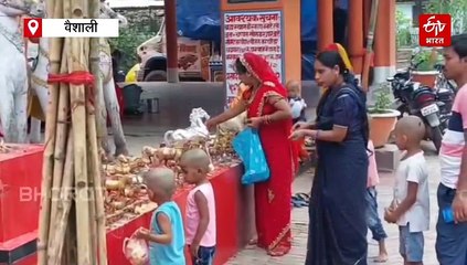 बिहार के इस गांव में बेटी होने पर लगाते हैं चंदन का पेड़, पढ़ाई से लेकर शादी तक आता है काम