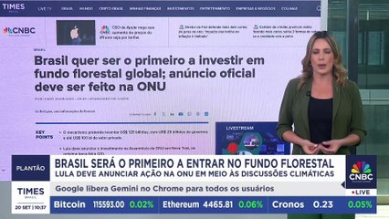 Lula aposta em fundo global de florestas como trunfo para a COP30 | PLANTÃO