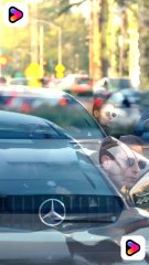 Fighting Ex and Jealousy for Real Love shortmintz