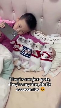 They’re not just pets, they’re my tiny, fluffy accessories 🥺#dog #dogsofinstagram #dogs #pet #p