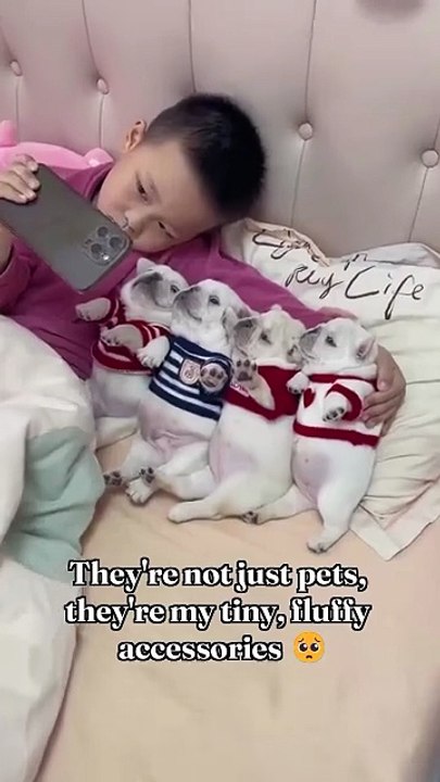 They’re not just pets, they’re my tiny, fluffy accessories 🥺#dog #dogsofinstagram #dogs #pet #p