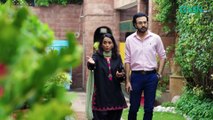 Sharakat Episode 80 (Subtitles) 20th September 2025   Sumaiyya Bukhsh - Danial Afzal Khan   Green TV