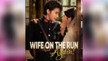 Wife On The Run, Again! (DUBBED)