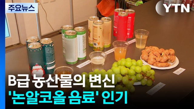 [新농비] B급 농산물의 변신...'19금 논알코올 음료' 인기 / YTN