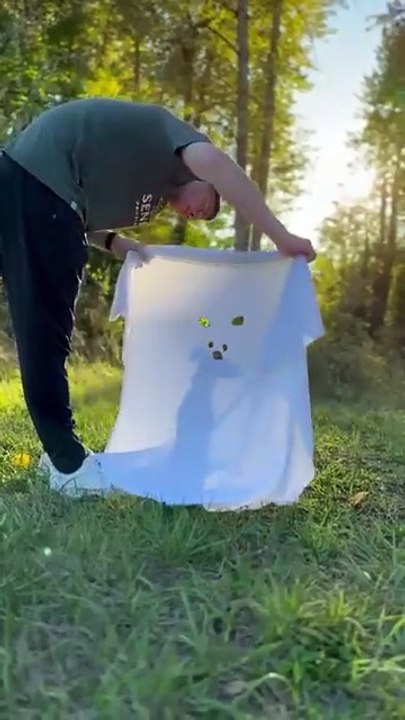 Si fantômes pas réels, d'où vient ce bidule?