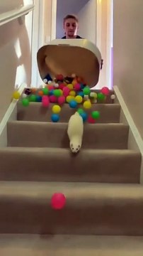 **Pleurs en joie ou peur** (« Crying in happiness or fear » → « Pleurs en joie ou peur » – un peu de rire en gardant l’esprit de la phrase originale.)