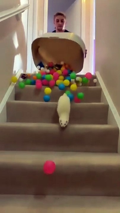 **Pleurs en joie ou peur**  (« Crying in happiness or fear » → « Pleurs en joie ou peur » – un peu de rire en gardant l’esprit de la phrase originale.)