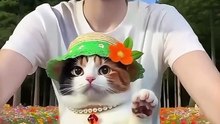 Kucing yang sabar