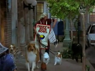 Dharma & Greg Staffel 3 Folge 3 "Dharmas Inferno" #Deutsch #HD