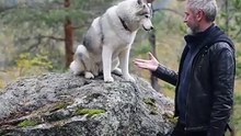 Os animais mais fofos do mundo N•467