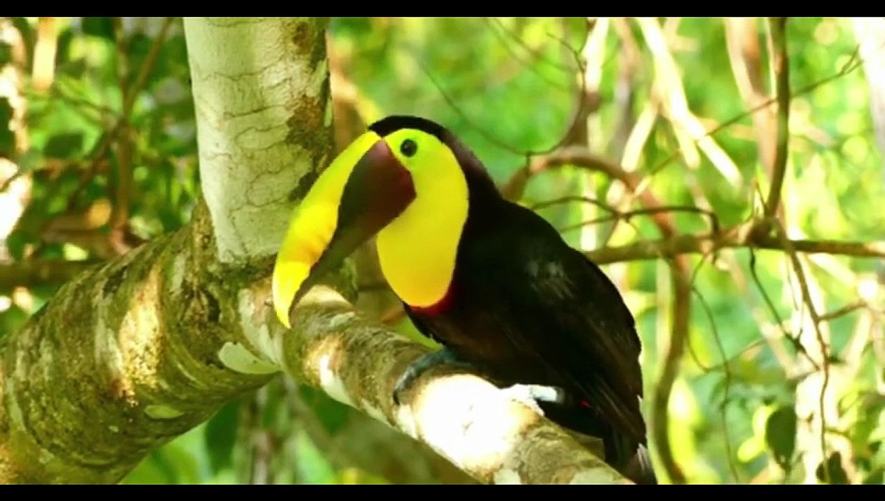 UNSEEN NATURE