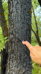 Natural Fire Starter Using Gifts of Nature