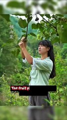 Proses Membuat TInta