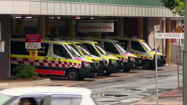 Critical incident declared after man dies during alleged DV arrest in Sydney's south west