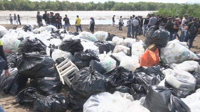 Realizan jornada de limpieza de playas