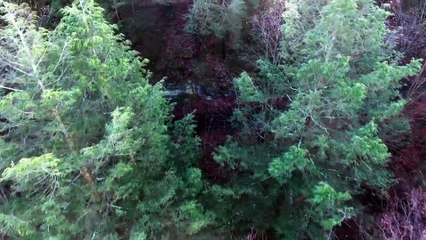 Blue Skies on Mars | movie | 2025 | Official Trailer