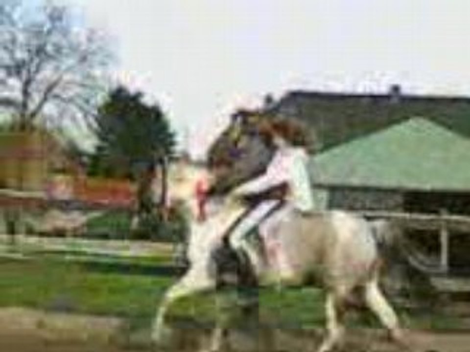 VID005