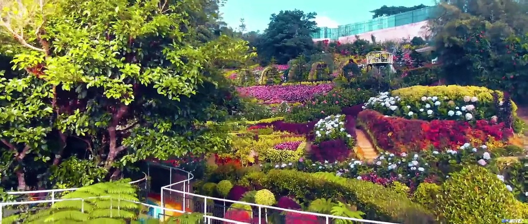 (18＋)-40 Tagalog-VMAX-Movie