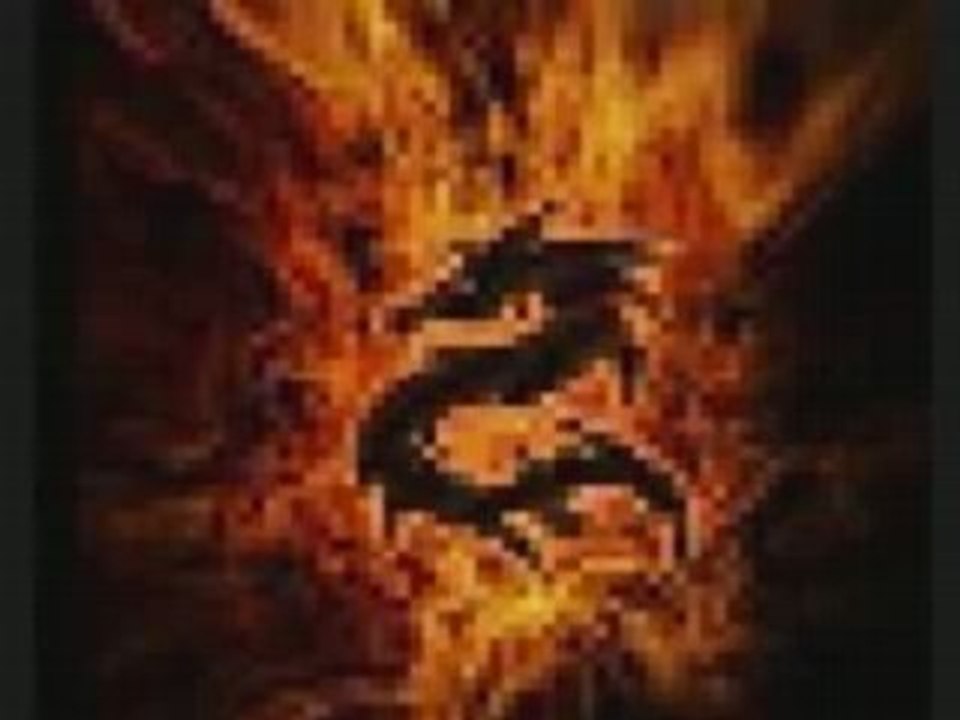 Vidéo dragons 2