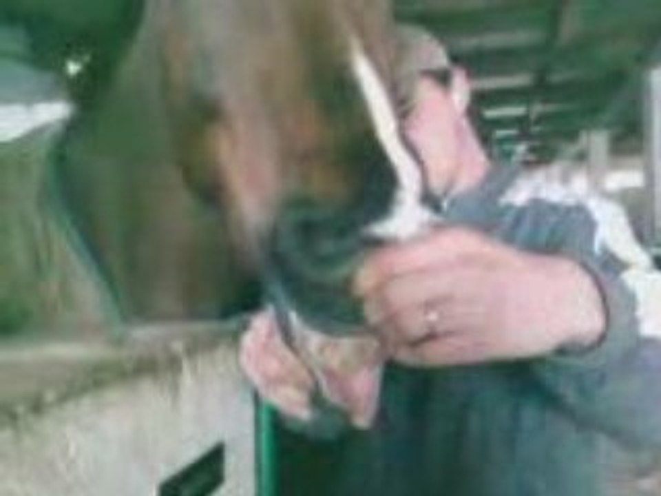 VID007