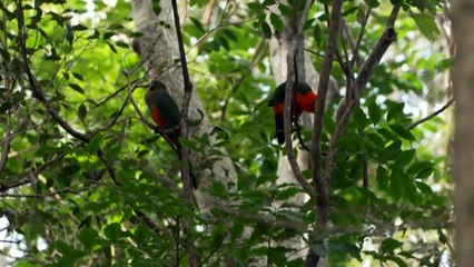 Former nurse shares devastating experience of attempts to get urgent cancer surgery