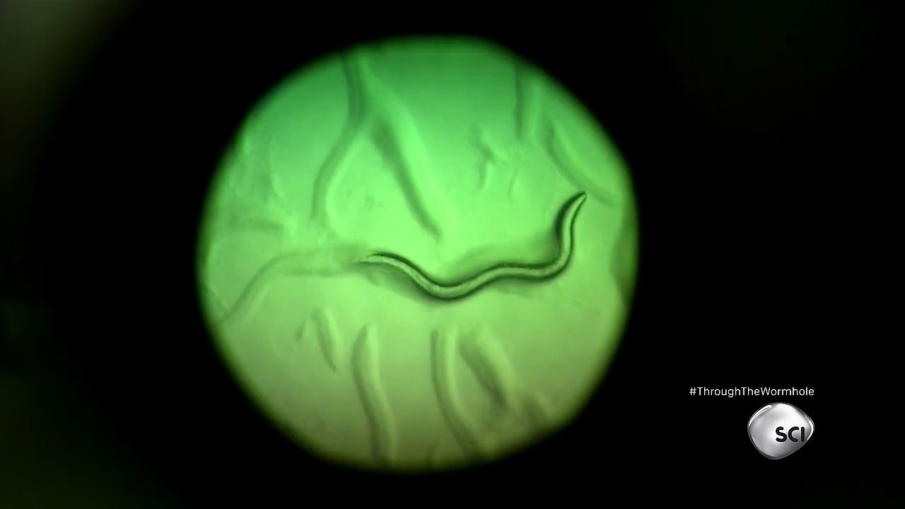 Through The Wormhole Season 6 Episode 4 Do We Live in the Matrix? | Morgan Freeman