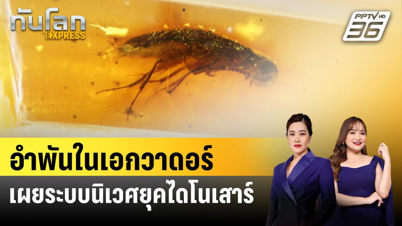 อำพันในเอกวาดอร์เผยระบบนิเวศยุคไดโนเสาร์  | ทัน...
