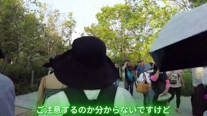 大阪万関西博 大曲花火2025｜夜空を彩る感動の一夜【6月28日特別開催】　Osaka Kansai Expo Omagari Fireworks 2025 | An emotional night of lighting up the night sky [Special event on June 28th]