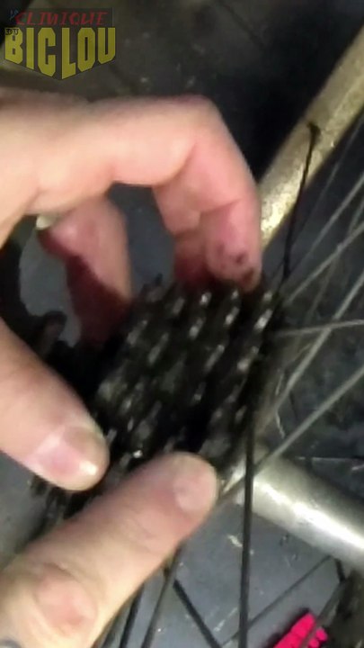 Roue libre vélo : comment ça marche ? Le guide ultime !