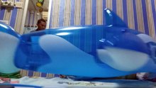 Riding the Inflatable Whale (Non Pop)
