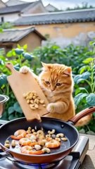 The Cat cooking  for videos