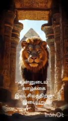 #lifelesson #godsmessagetoday #godsmessagetodayforme #quotesaboutlife #aboutlifequotes #lifequotes